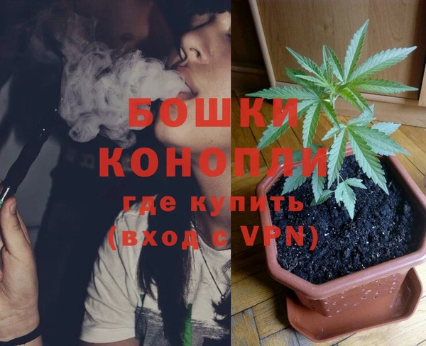 дурь Покачи