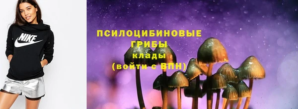 дурь Покачи