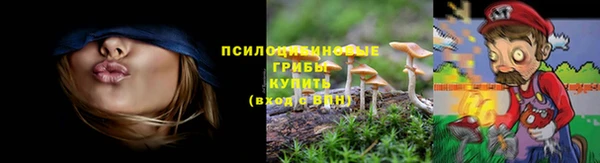 ECSTASY Покров