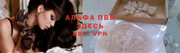 ECSTASY Покров