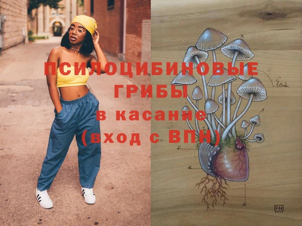 ECSTASY Покров