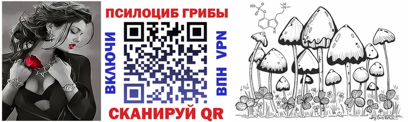Псилоцибиновые грибы Cubensis  Красково 